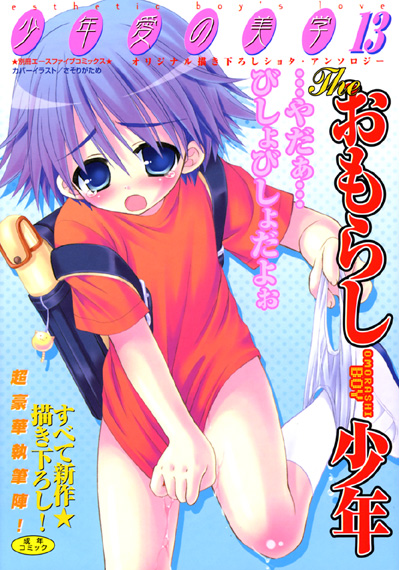 少年愛の美学13 The おもらし少年の表紙