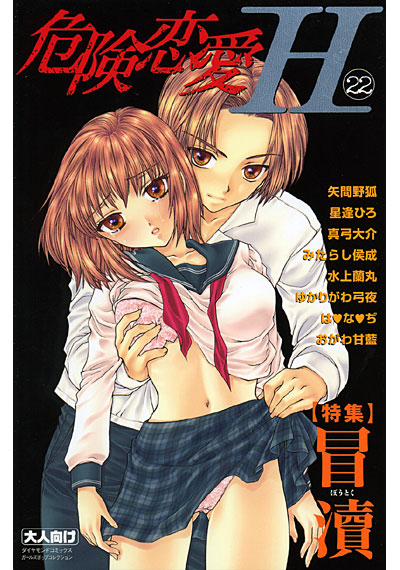 危険恋愛H 22の表紙