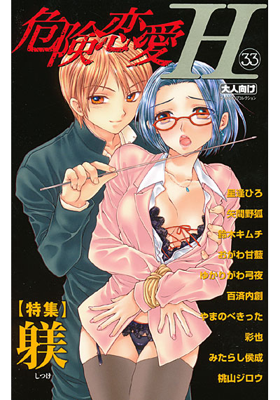 危険恋愛H 33の表紙