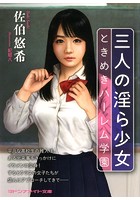 三人の淫ら少女　ときめきハーレム学園 （小説）