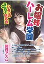 お嬢様ハーレム学園 ひみつの男子研究会 （小説）