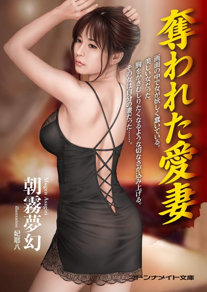奪われた愛妻の表紙