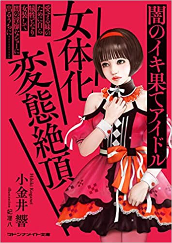 女体化変態絶頂 闇のイキ果てアイドル （小説）