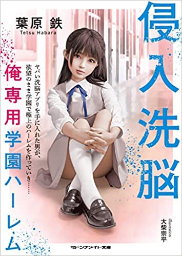 侵入洗脳 俺専用学園ハーレム （小説）