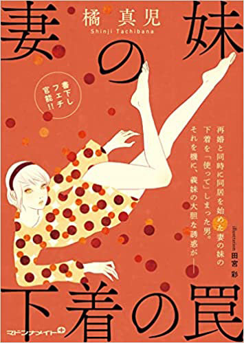 妻の妹 下着の罠（小説）
