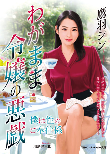わがまま令嬢の悪戯 僕は性のご奉仕係 （小説）