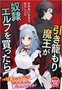 引き籠もり魔王が奴●エルフを買ったら (小説)