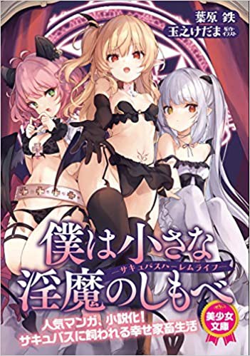 僕は小さな淫魔のしもべの表紙