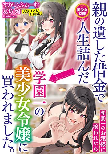 親の遺した借金で人生詰んだ→学園一の美少女令嬢に買われました。 （小説）