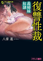 復讐性裁 （小説）