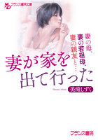 妻が家を出て行った （小説）