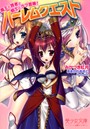 ハーレムクエスト 魔王と賢者と戦士とラブ冒険! (小説)