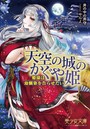 天空の城のかぐや姫 姫様は幼馴染を告らせたい （小説）