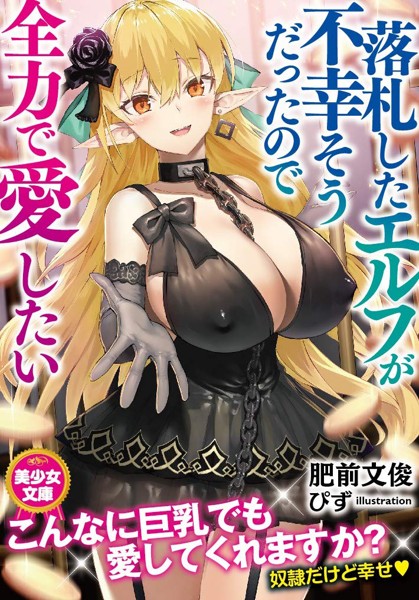 落札したエルフが不幸そうだったので全力で愛したいの表紙
