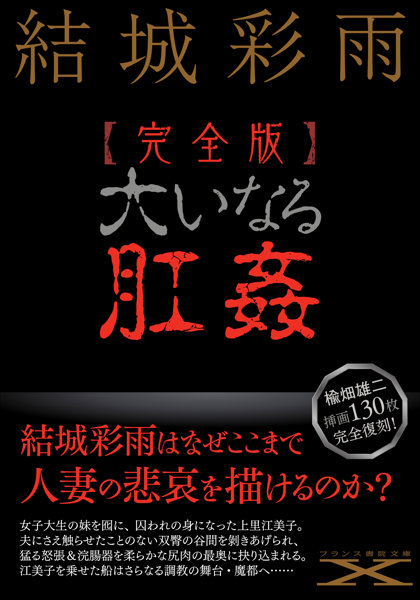 【完全版】大いなる肛姦 （小説）