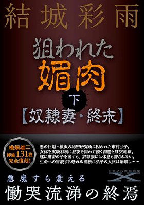 狙われた媚肉（下）【奴●妻・終末】 （小説）