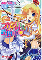 プリンセスは誘拐中 (小説)