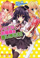 トリプルお嬢様を差し押さえ！ （小説）