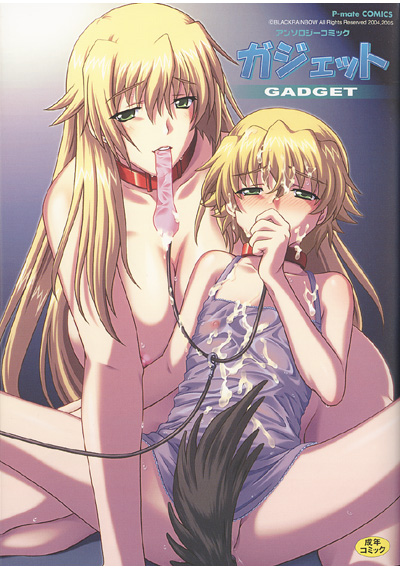 ガジェットの表紙