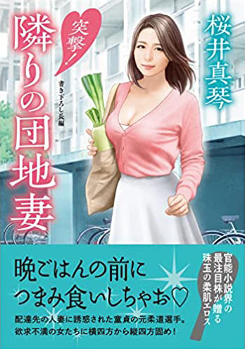 突撃！隣りの団地妻 （小説）
