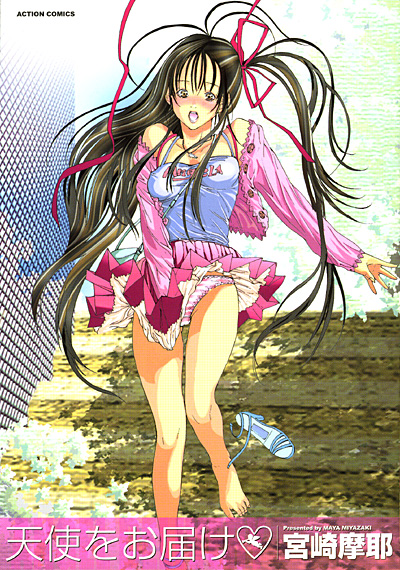天使をお届けの表紙