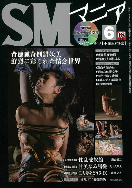 SMマニア 2019年06月号