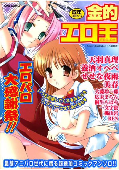 金的エロ王の表紙