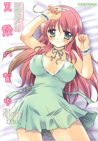 天使の背中の表紙