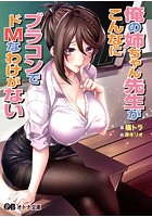 俺の姉ちゃん先生がこんなにブラコンでドMなわけがない（小説）