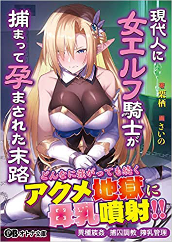 現代人に女エルフ騎士が捕まって孕まされた末路 （小説）