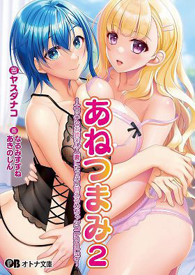 あねつまみ2 （小説）