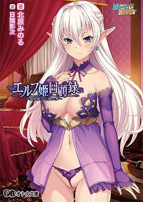 エルフ姫回顧録〜娼婦姫と亡国の夢〜 （小説）