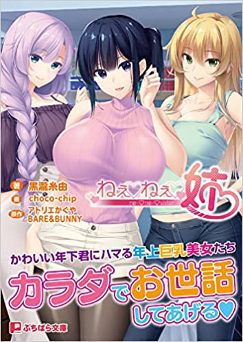 ねぇねぇ姉 （小説）
