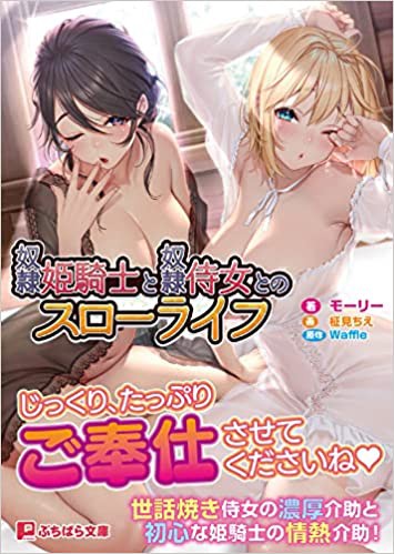奴●姫騎士と奴●侍女とのスローライフ （小説）