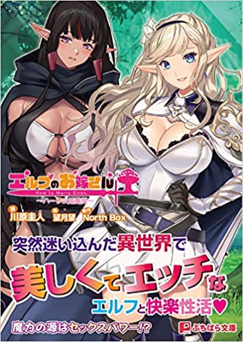 エルフのお嫁さん〜ハーレム婚推奨〜 （小説）