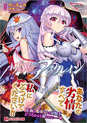 天翼のアスクレイン （小説）