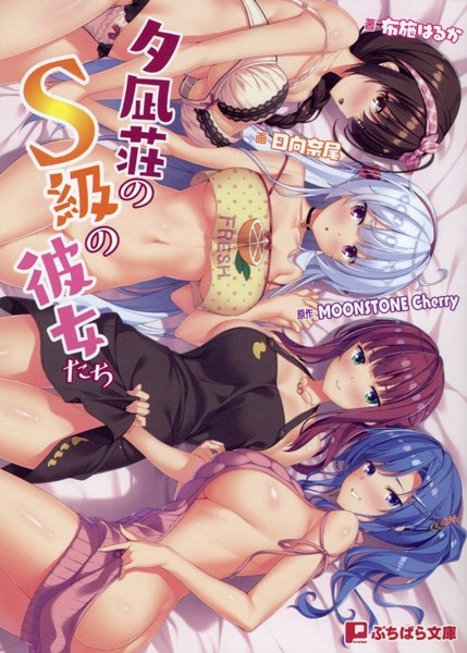 夕凪荘のS級の彼女たち （小説）