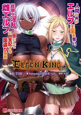 エルフェンキング （小説）