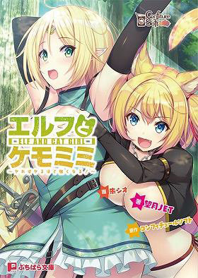 エルフとケモミミ （小説）