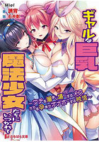 ギャルな巨乳魔法少女たちにいつかれて （小説）のサムネイル画像