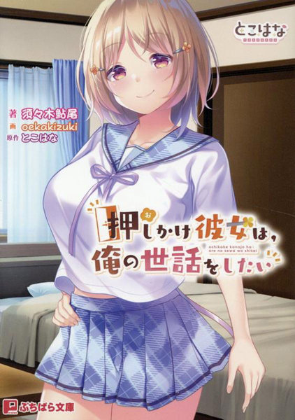 押しかけ彼女は、俺の世話をしたい （小説）