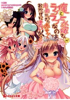 俺と5人の嫁さんがラブラブなのは、未来からきた赤ちゃんのおかげに違いない!? (小説)