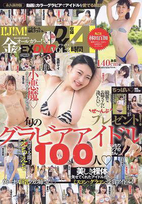 金のEX DVD DX 2