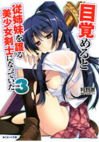 目覚めると従姉妹を護る美少女剣士になっていた （小説）のサムネイル画像