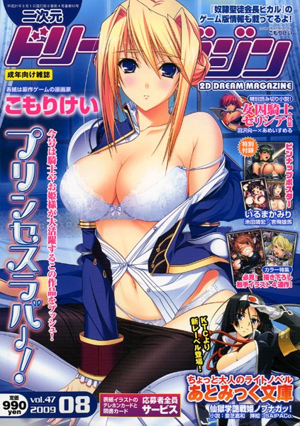 二次元ドリームマガジン 2009年08月号