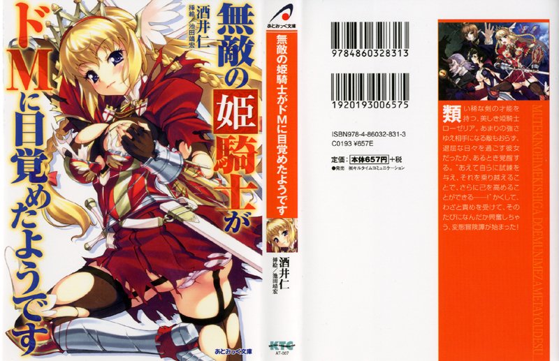 無敵の姫騎士がドMに目覚めたようです。の表紙