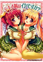 デキる妹はイヤですか？ （小説）