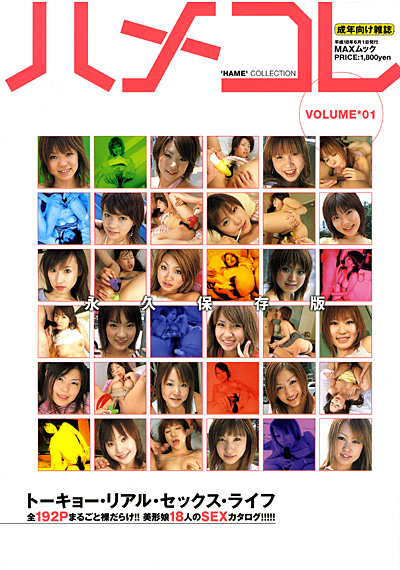 ハメコレ VOLUME 01