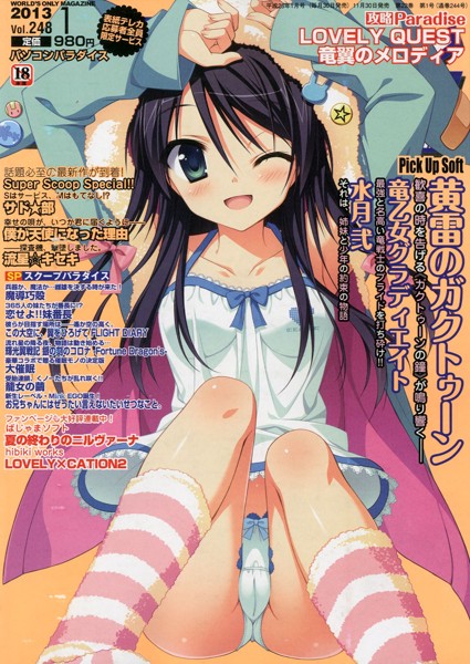 パソコンパラダイス 2013年01月号 サムネイル