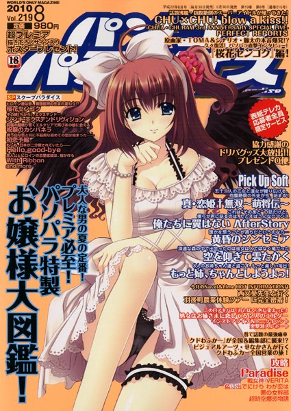 パソコンパラダイス 2010年08月号